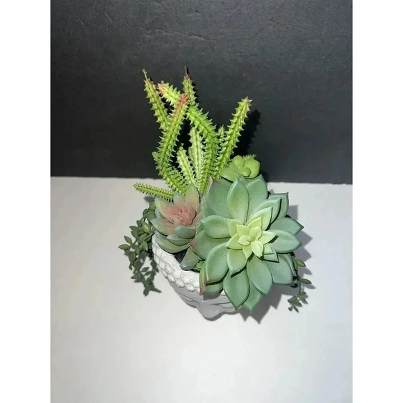 Buddha head Concrete Modern planter faux succulent plant Hindu Zen Decor gift - Picture 3 of 6